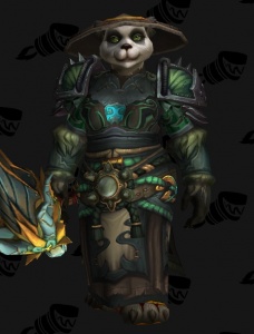 Healing Panda Monk Outfit World Of Warcraft