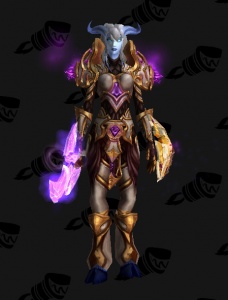 Paladin Trop Classe Outfit World Of Warcraft