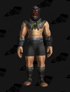 King Tekken Outfit World Of Warcraft