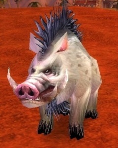 Elder Mottled Boar - NPC - World of Warcraft