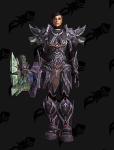 fierce paladin outfit world of warcraft wowhead