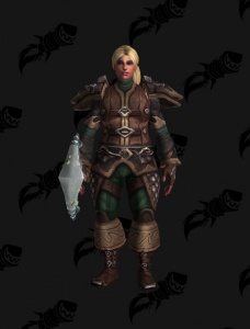 Quest Druid - Outfit - World of Warcraft
