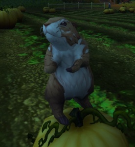 Marmotta Boreale Png World Of Warcraft