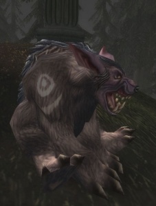 Bear Form - Spell World Warcraft