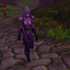 Часовой Шейла Ночной Бриз - NPC - Классический World of Warcraft