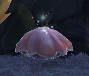 神秘的软体动物 物件 魔兽世界