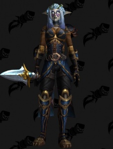 Stormwing Rogue Outfit World Of Warcraft