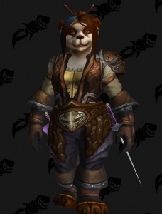 Warhide Rogue Outfit World Of Warcraft