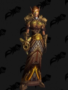 Bronze Dragonflight Hunter Outfit - World Warcraft