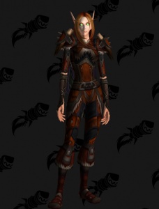 Armure Chasseur World of Warcraft