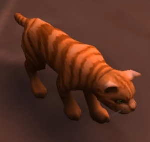 Chat Tigre Roux Pnj World Of Warcraft